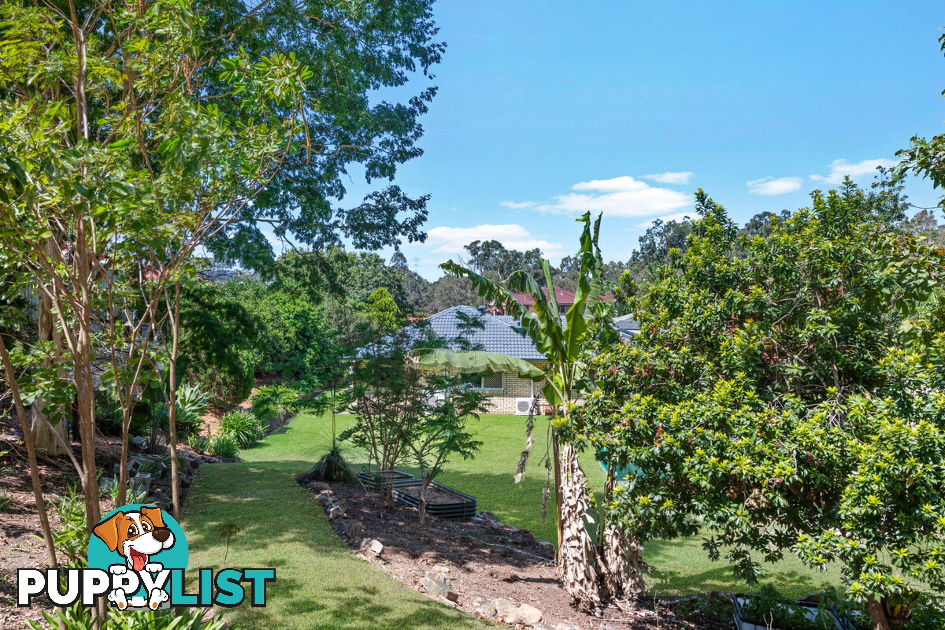 6 Plum Pine Court EATONS HILL QLD 4037