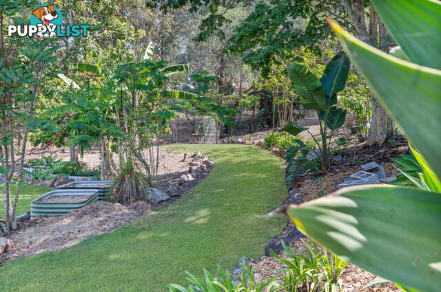 6 Plum Pine Court EATONS HILL QLD 4037