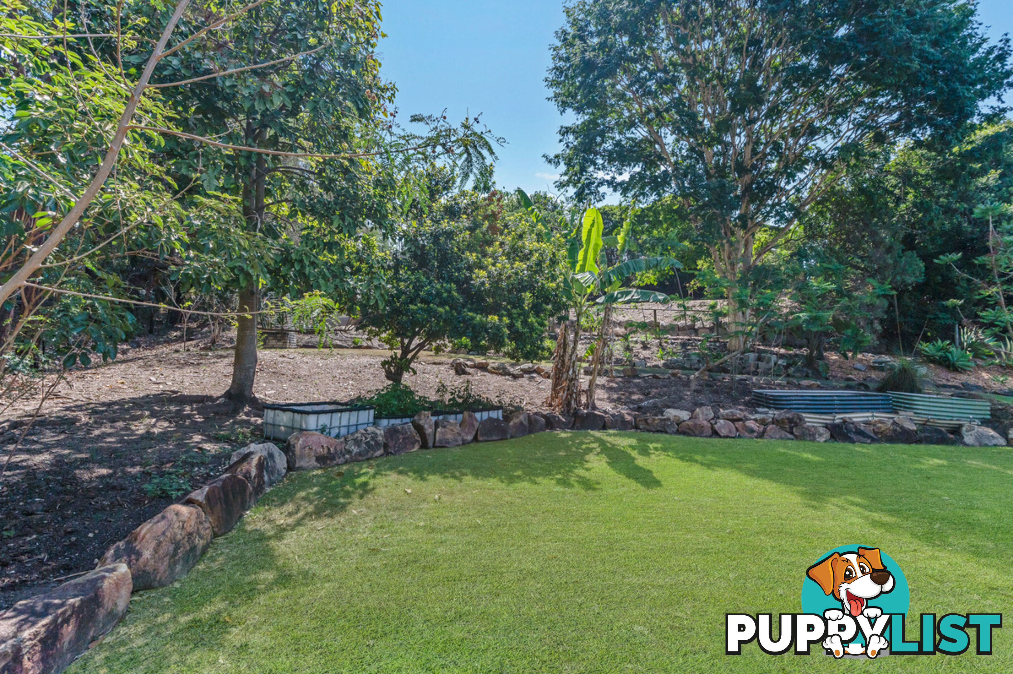 6 Plum Pine Court EATONS HILL QLD 4037