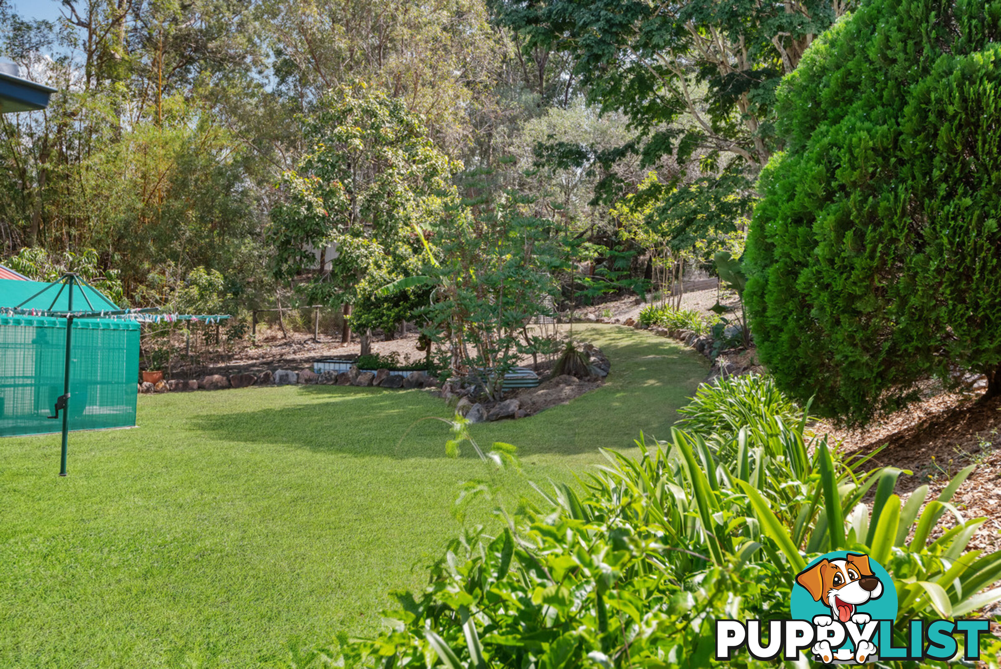 6 Plum Pine Court EATONS HILL QLD 4037