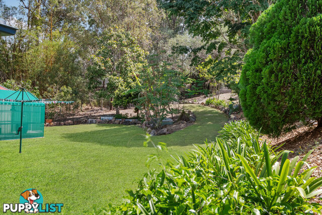 6 Plum Pine Court EATONS HILL QLD 4037