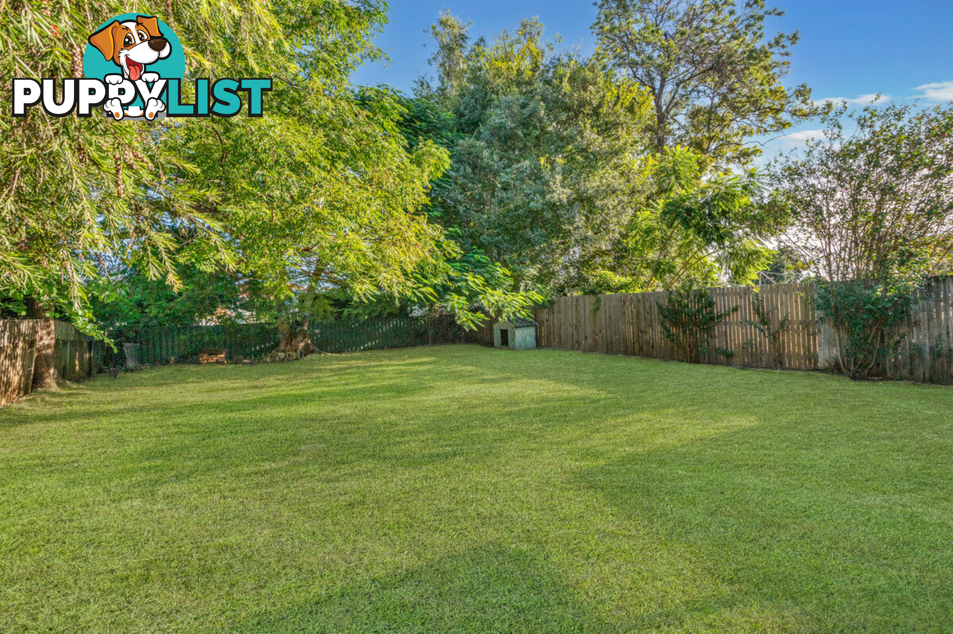 15 Grantsell Street ASPLEY QLD 4034