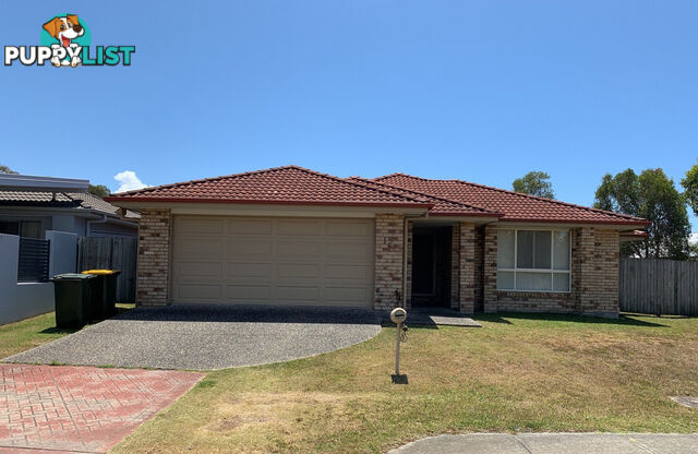 15 FABIAN Place BRACKEN RIDGE QLD 4017