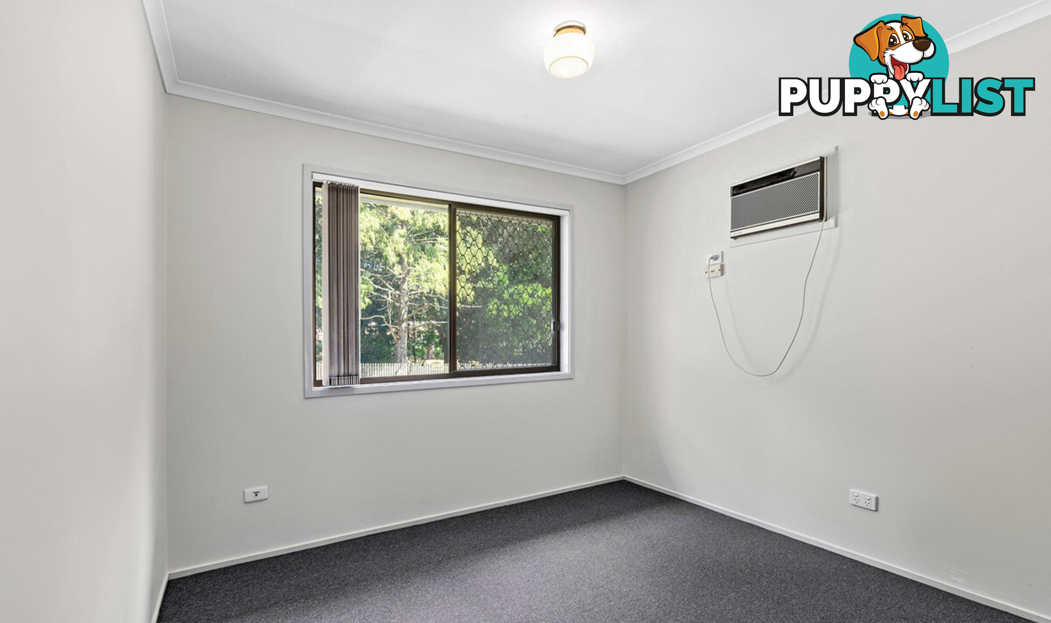61 McCallum Street CARSELDINE QLD 4034