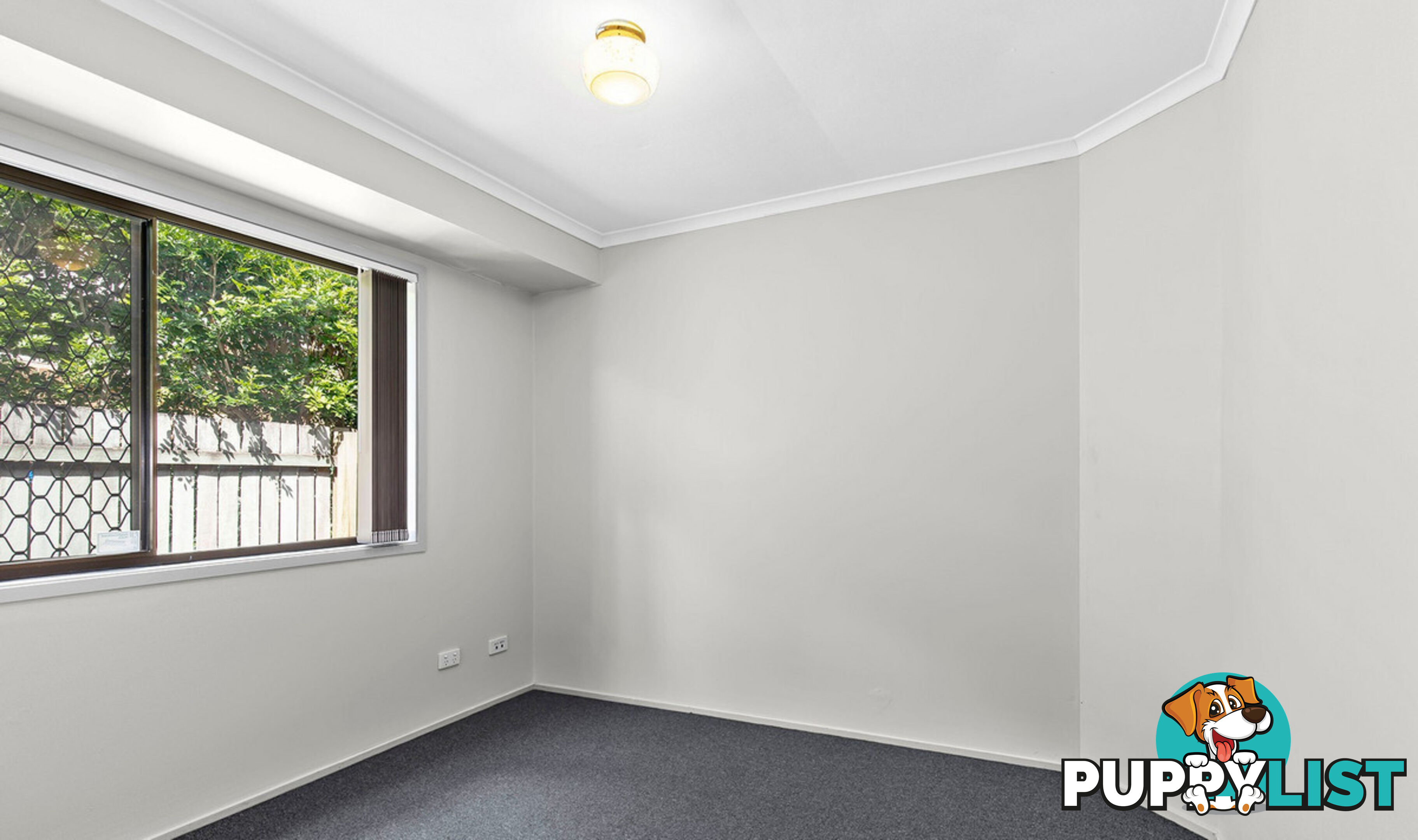 61 McCallum Street CARSELDINE QLD 4034