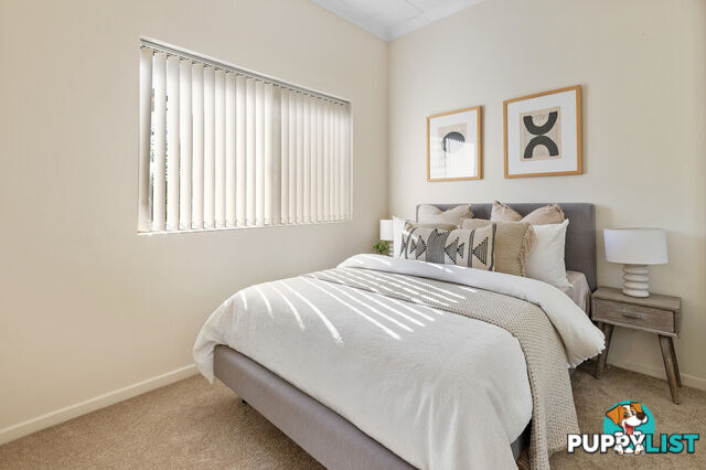 1/50 Buller Street EVERTON PARK QLD 4053