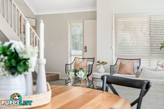 3/33 View Street CHERMSIDE QLD 4032