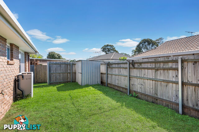 20 Raiteri Court BRENDALE QLD 4500