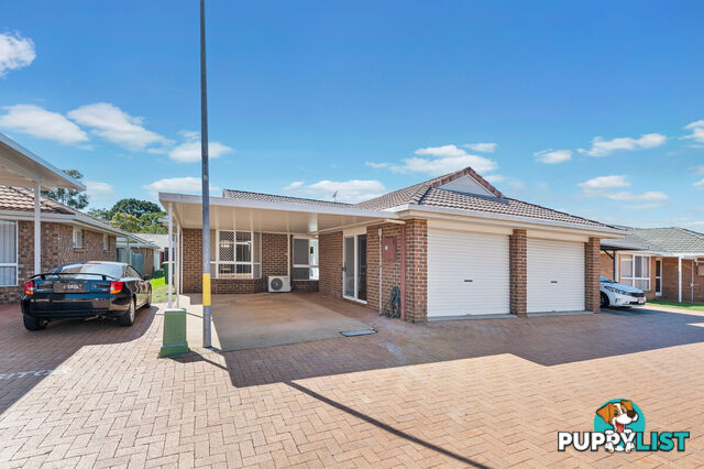 20 Raiteri Court BRENDALE QLD 4500