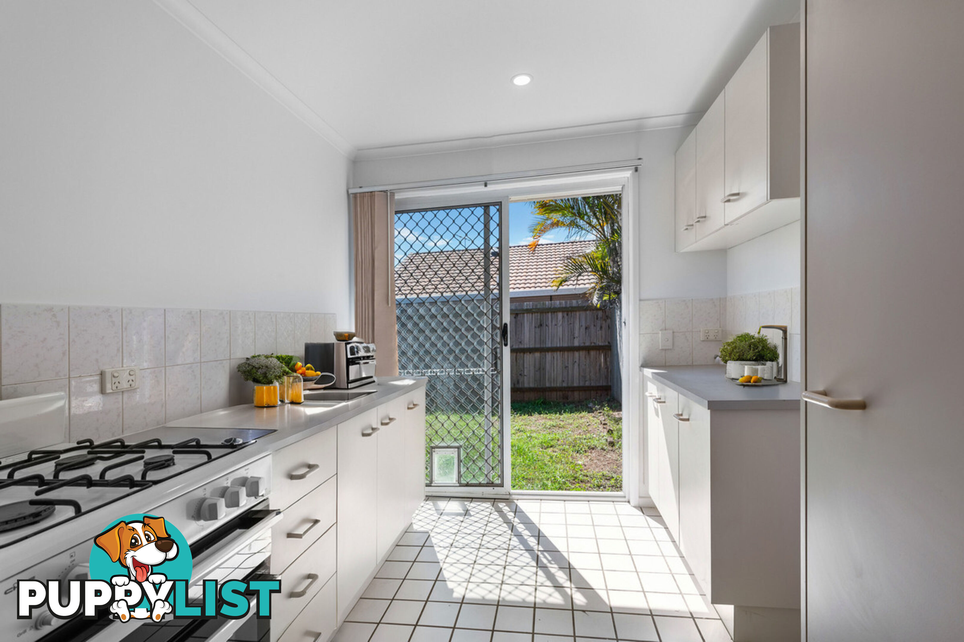 20 Raiteri Court BRENDALE QLD 4500