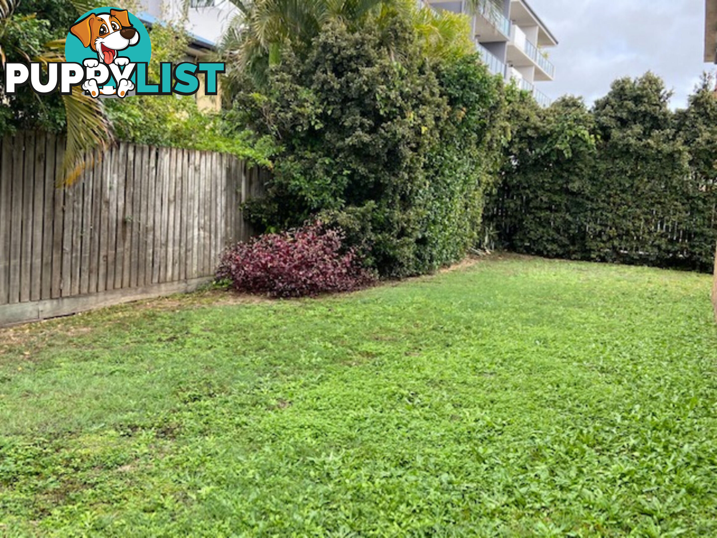 3/58 Wallace Street CHERMSIDE QLD 4032