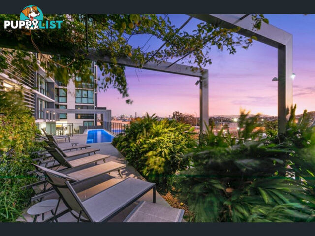 703/50-54 Hudson Road ALBION QLD 4010