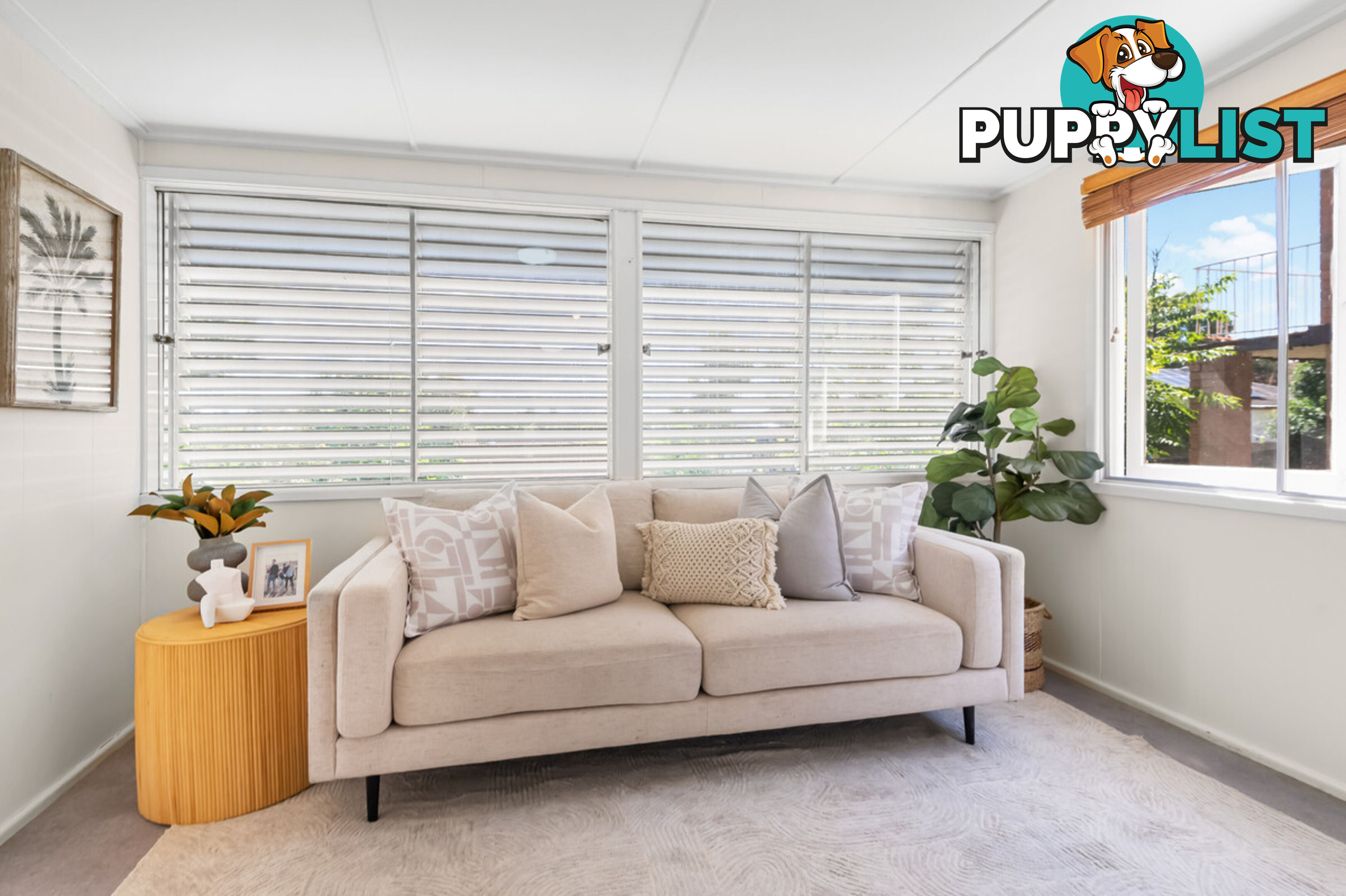 14 Purdy Street ASPLEY QLD 4034