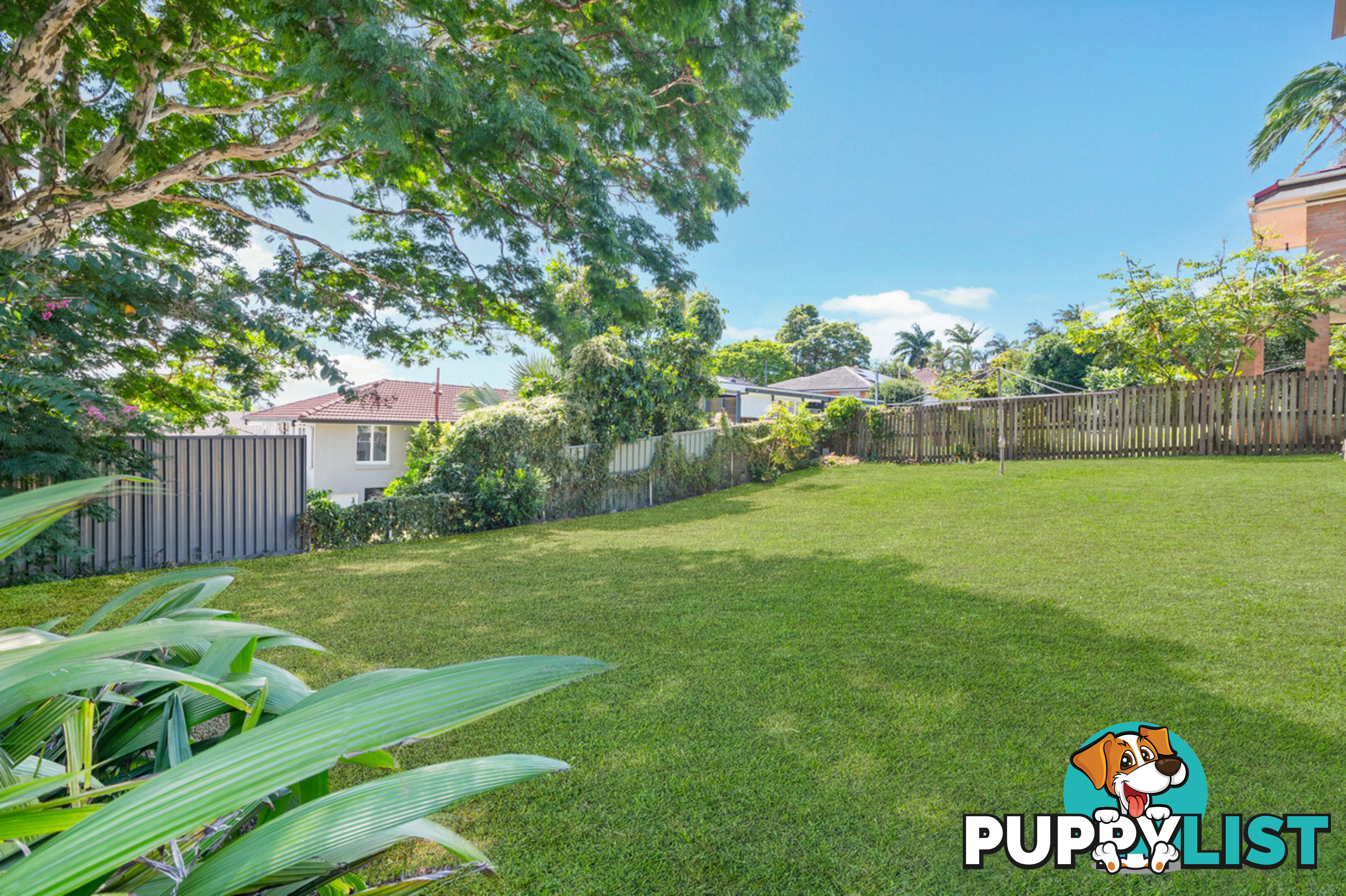 14 Purdy Street ASPLEY QLD 4034