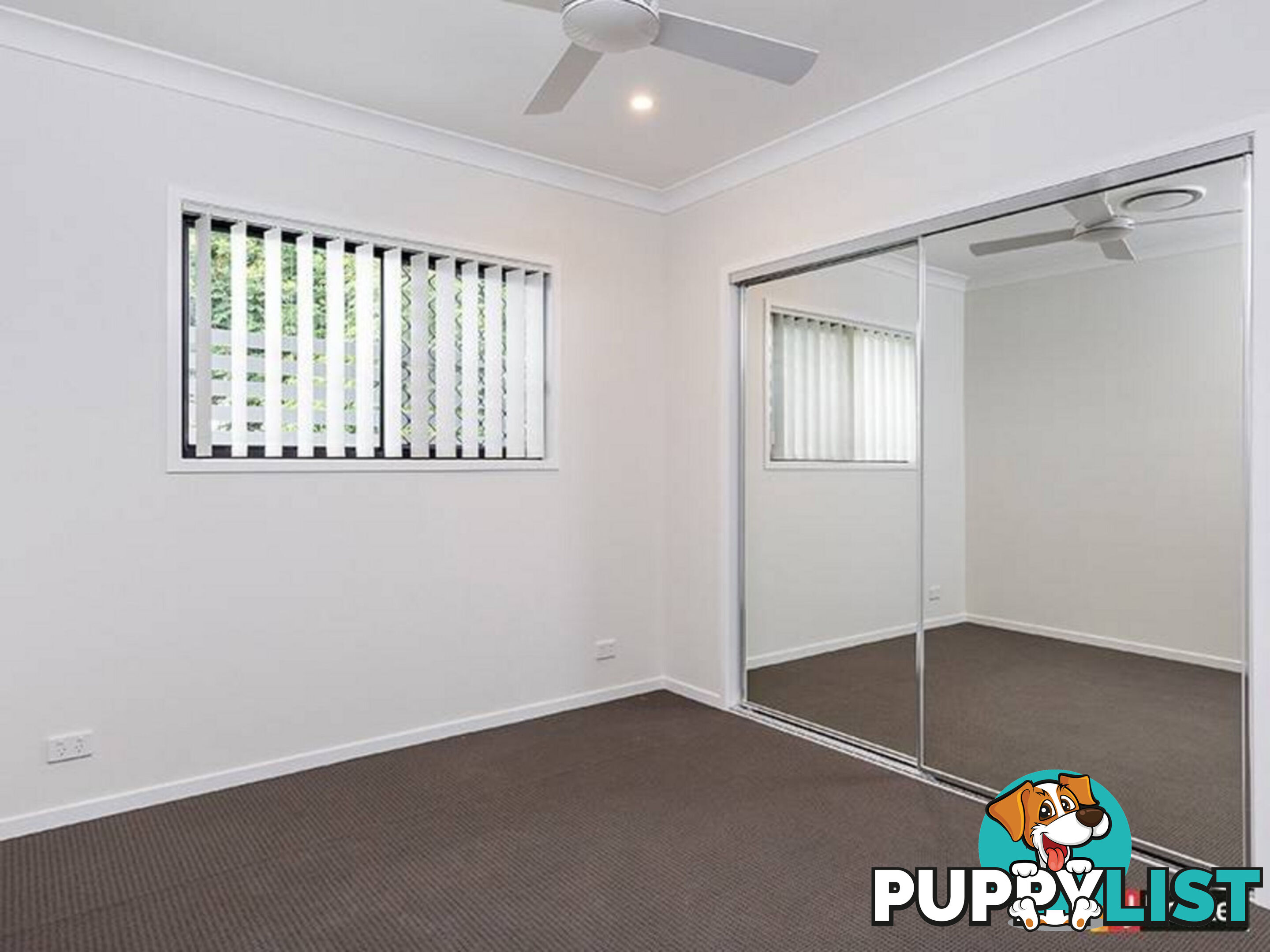 12 Haines Street KEDRON QLD 4031