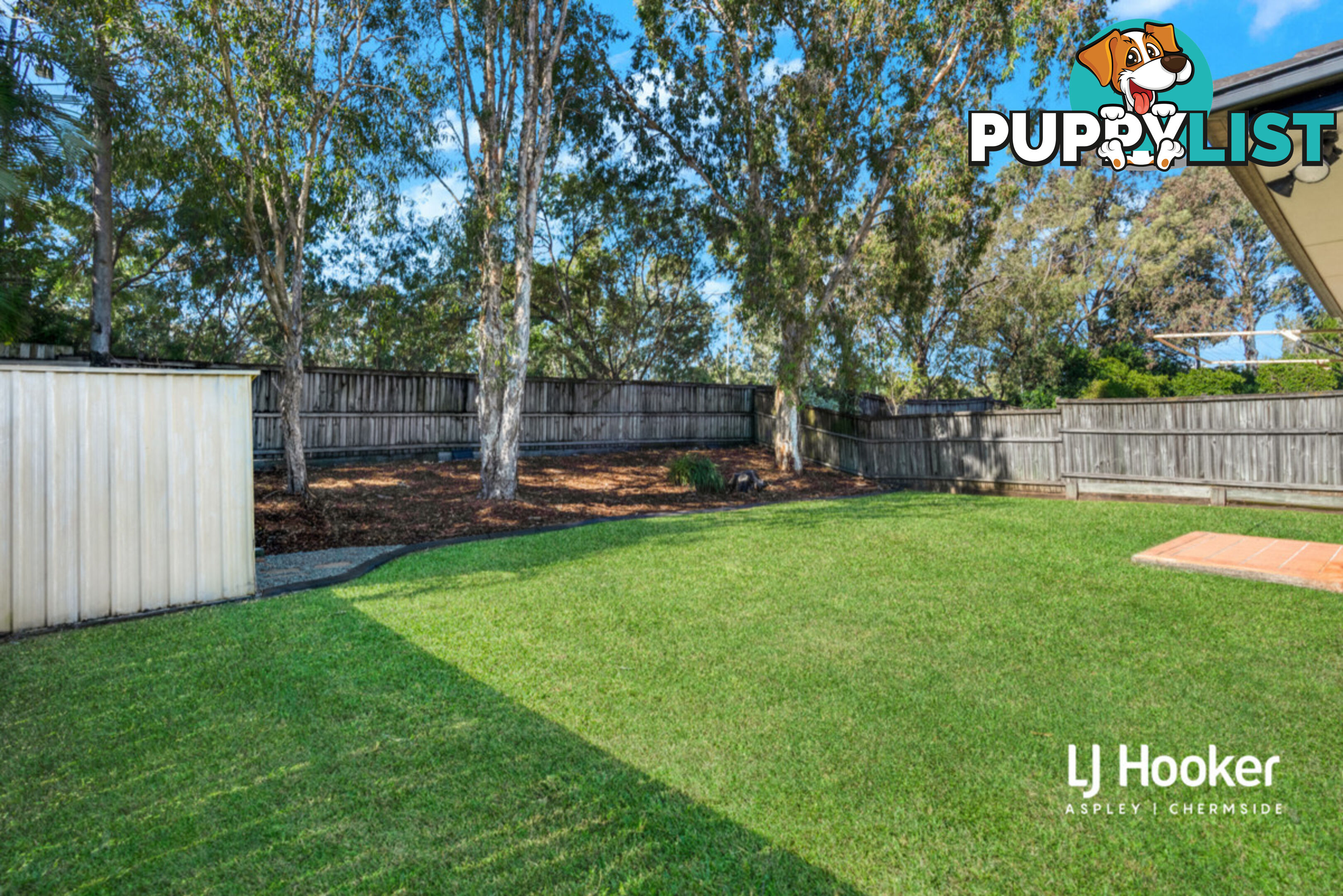 59 Wimbledon Circuit CARSELDINE QLD 4034