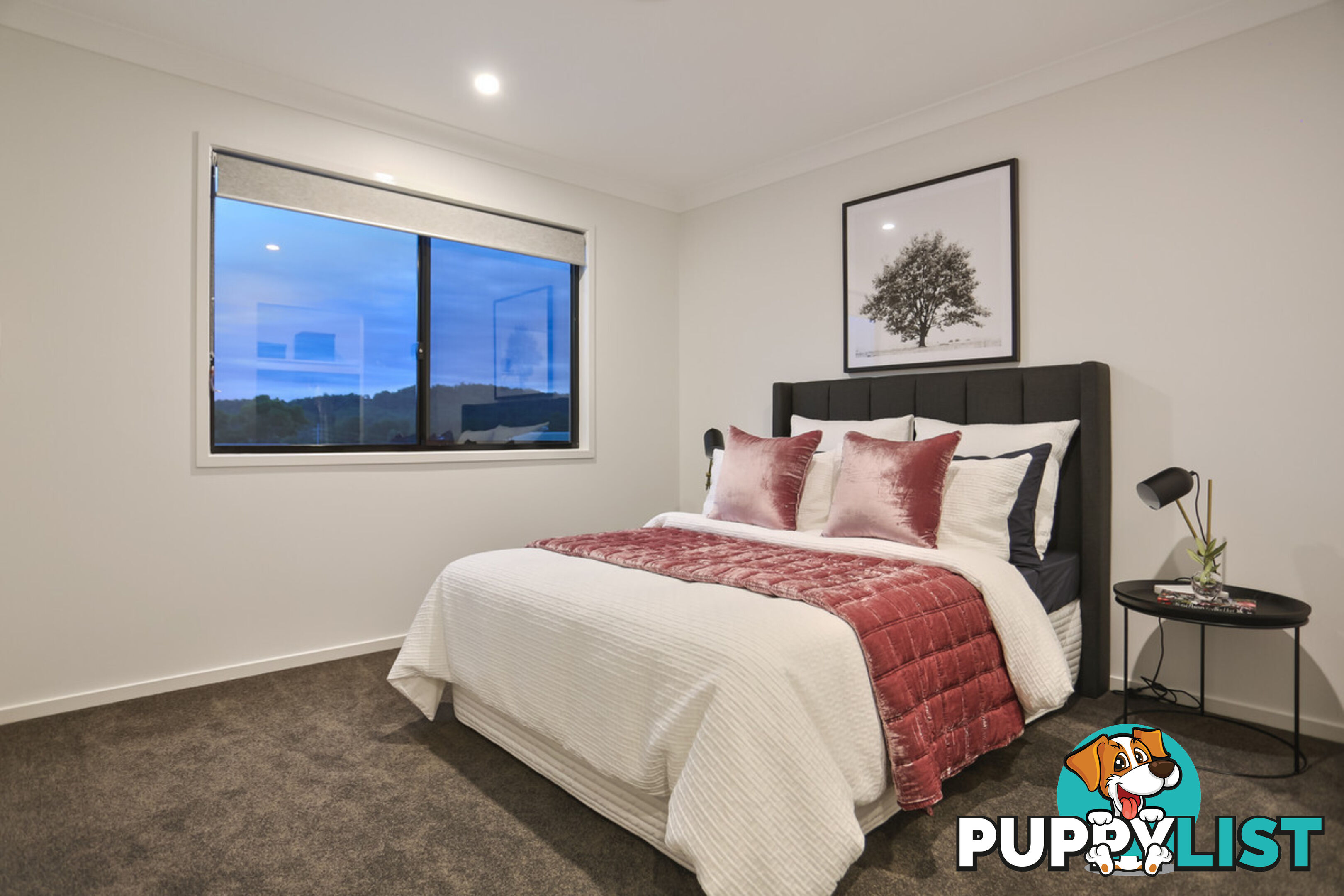 209 Canvey Street UPPER KEDRON QLD 4055