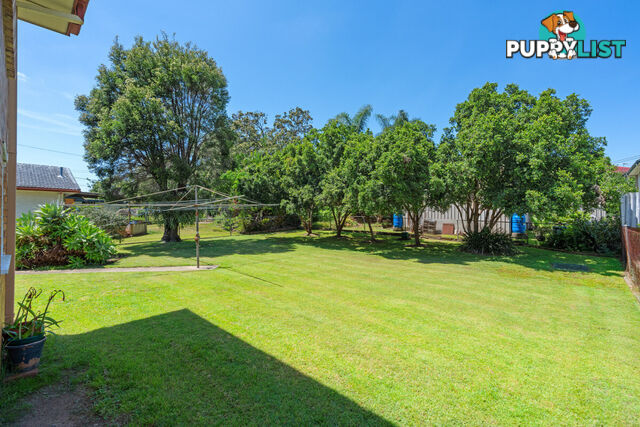 14 Pie Street ASPLEY QLD 4034