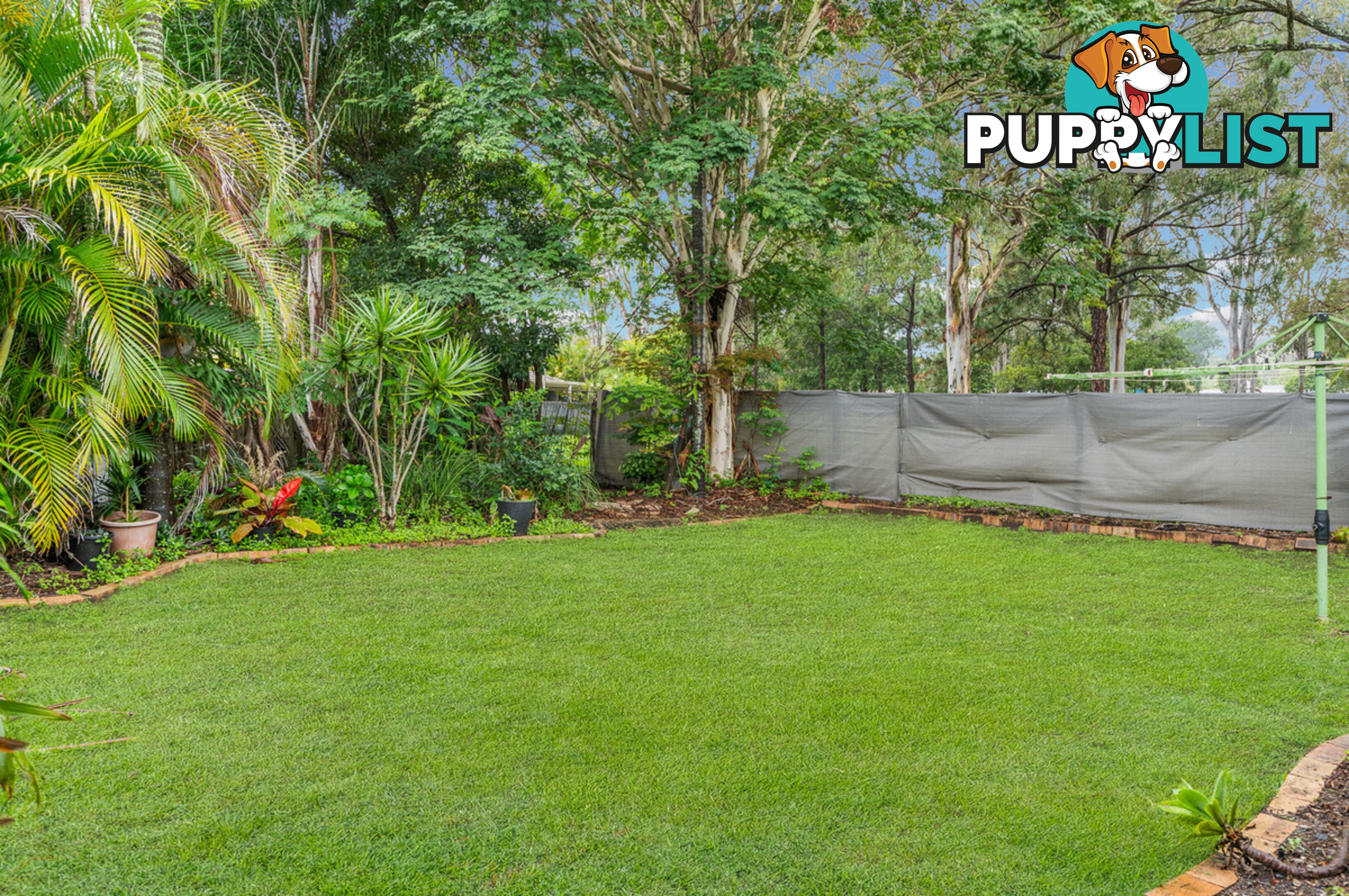 5 Chillip Court BRACKEN RIDGE QLD 4017