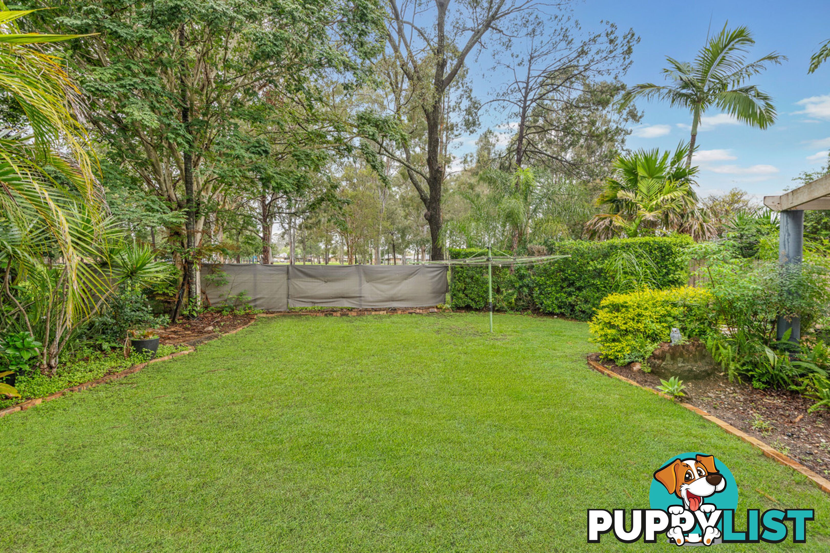 5 Chillip Court BRACKEN RIDGE QLD 4017