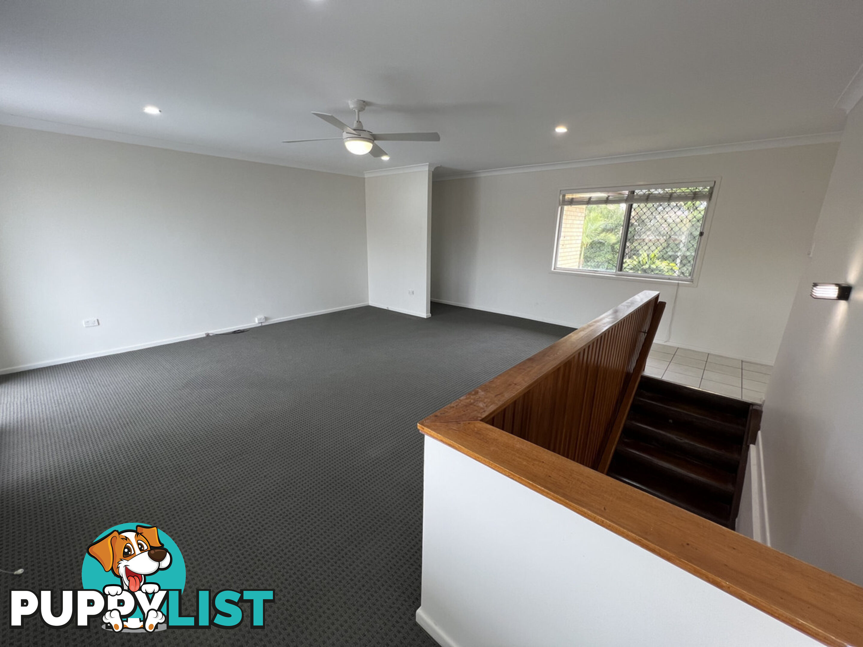 28 Safari Street CHERMSIDE WEST QLD 4032