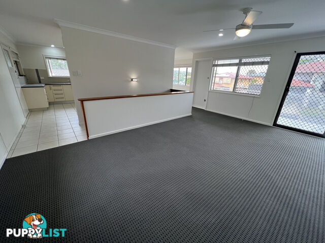 28 Safari Street CHERMSIDE WEST QLD 4032