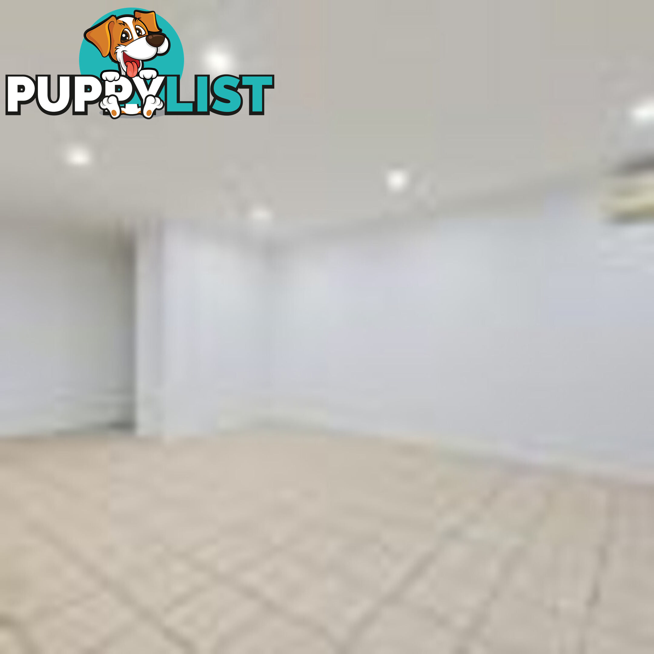 33 Rose Crescent FITZGIBBON QLD 4018