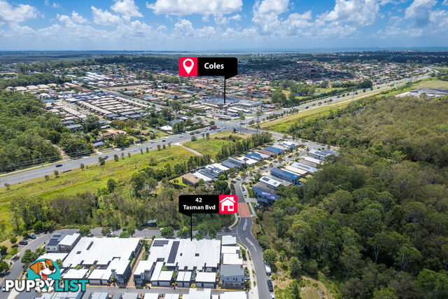 42 Tasman Boulevard FITZGIBBON QLD 4018