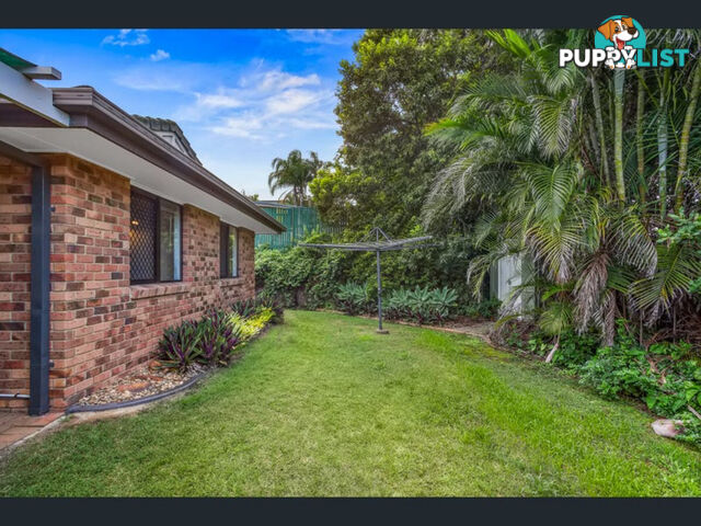 42 Chartwell Street ASPLEY QLD 4034