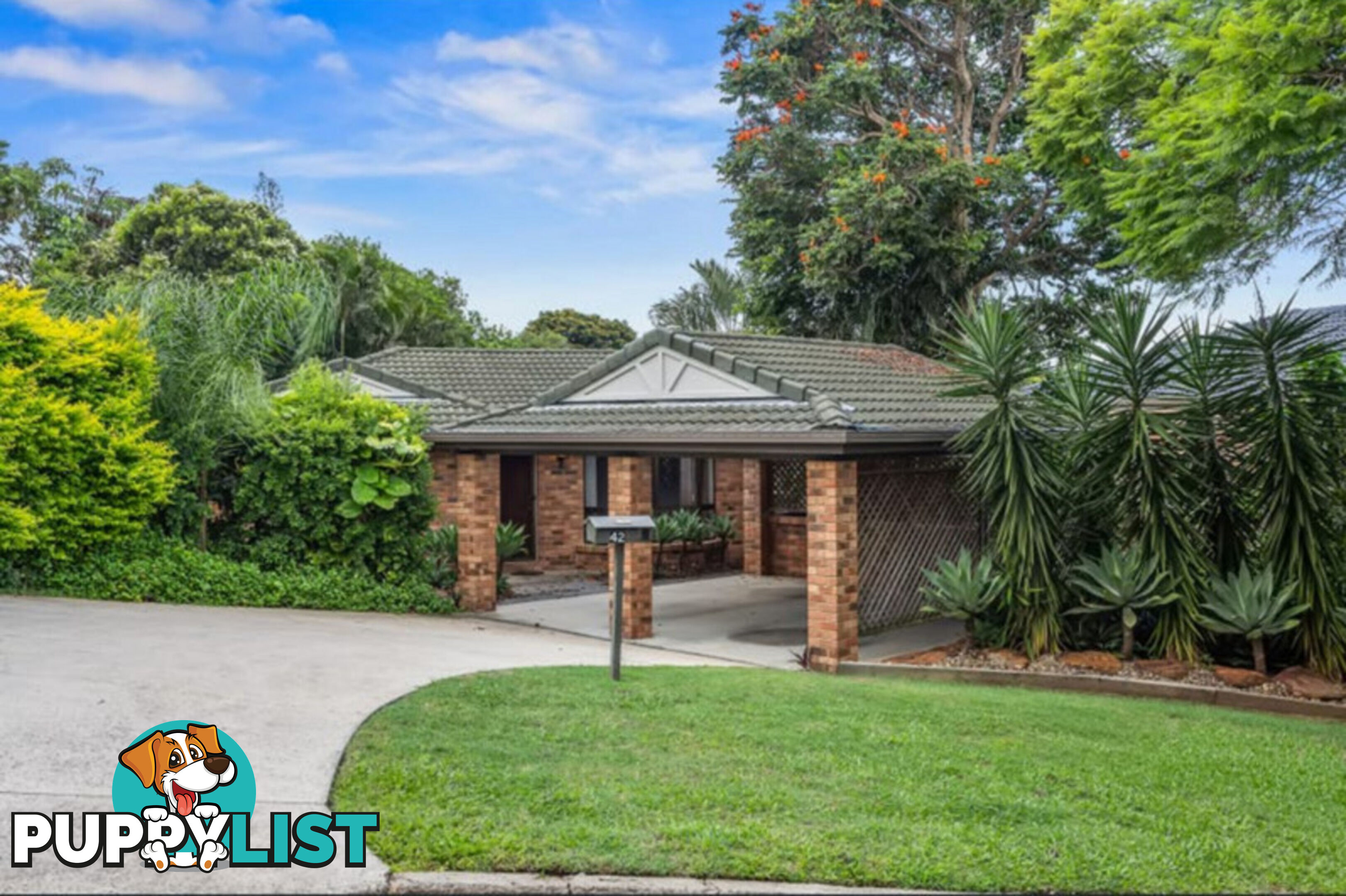 42 Chartwell Street ASPLEY QLD 4034