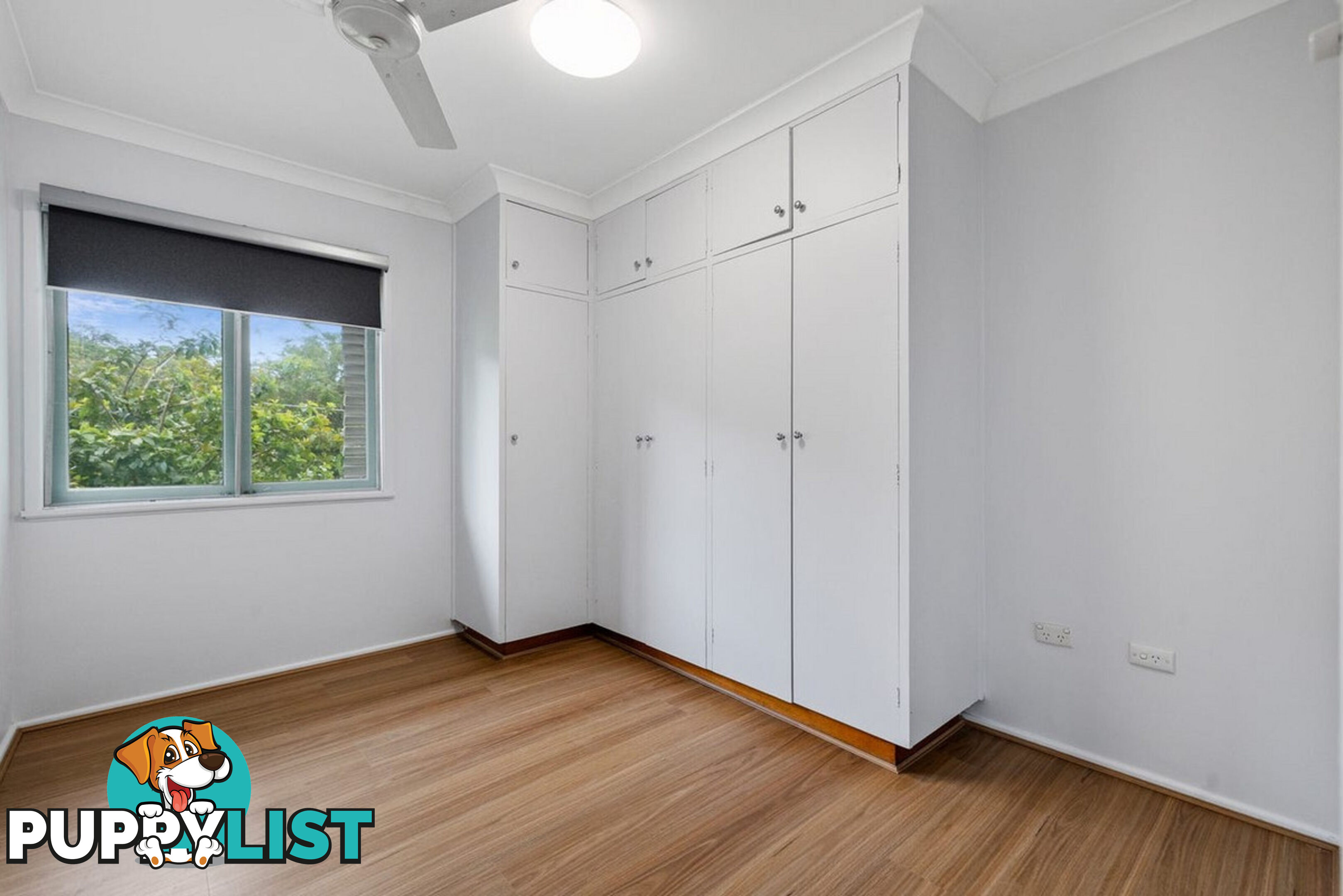 11 Petanne Street ASPLEY QLD 4034