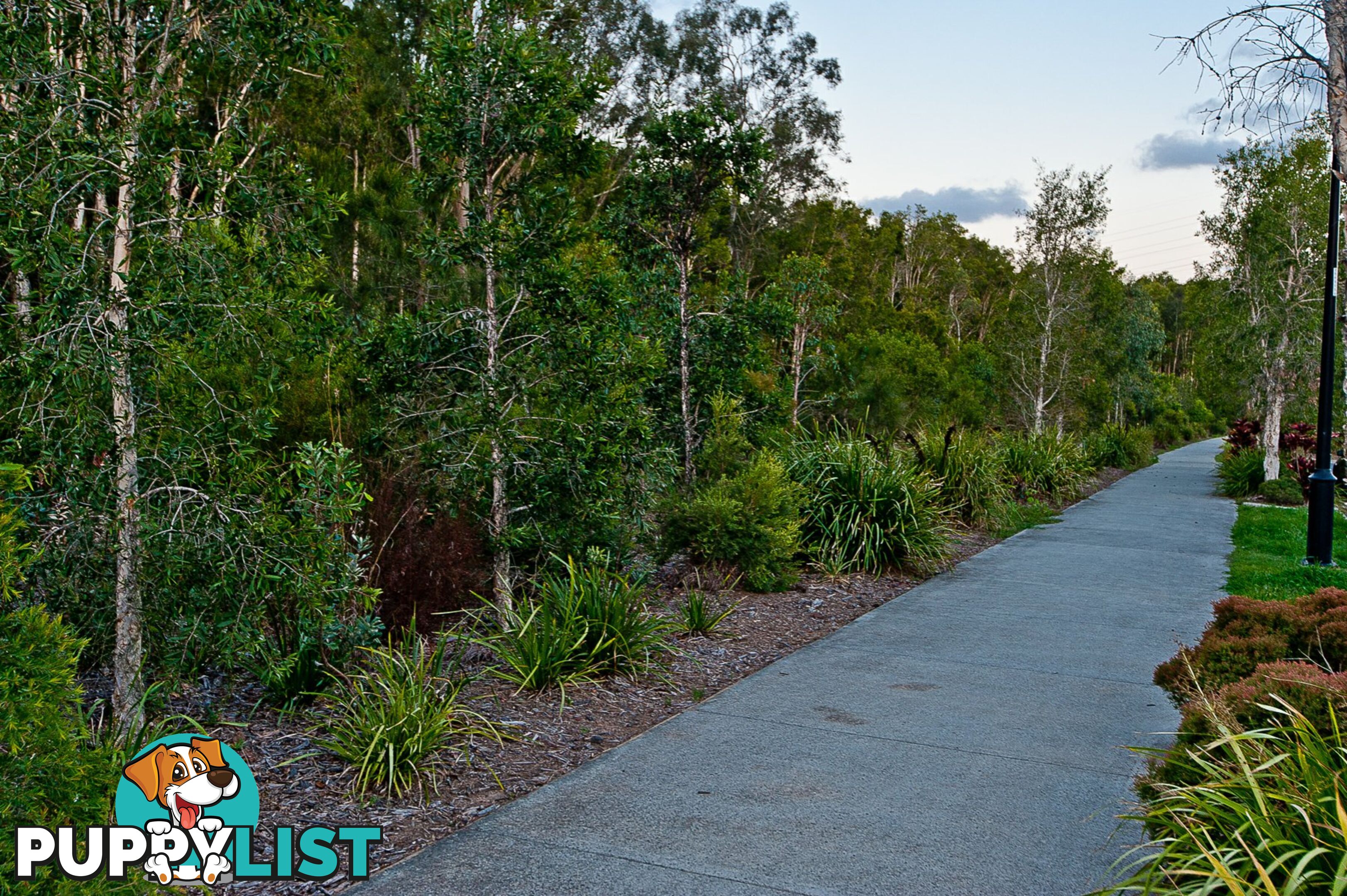 42 Vanilla Avenue GRIFFIN QLD 4503