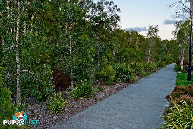 42 Vanilla Avenue GRIFFIN QLD 4503