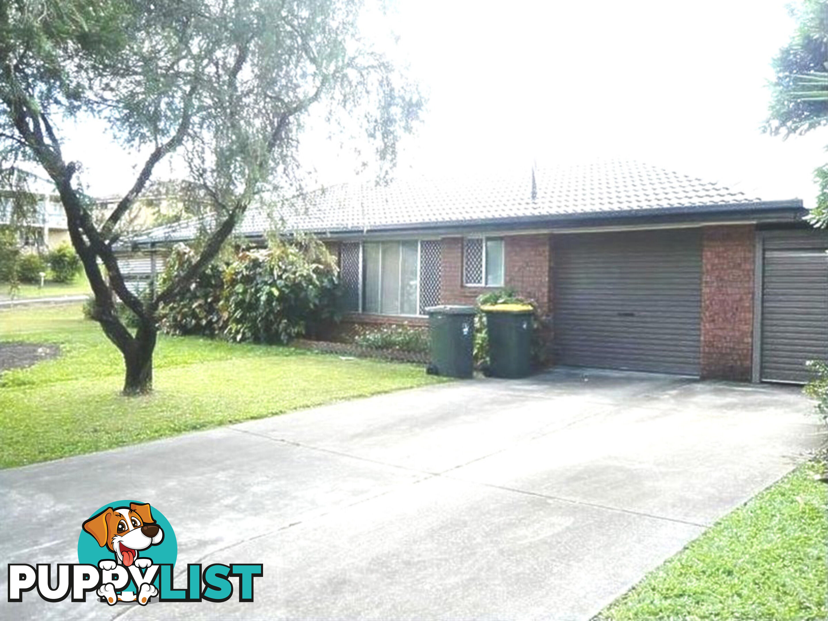 20 Covey Street CHERMSIDE WEST QLD 4032