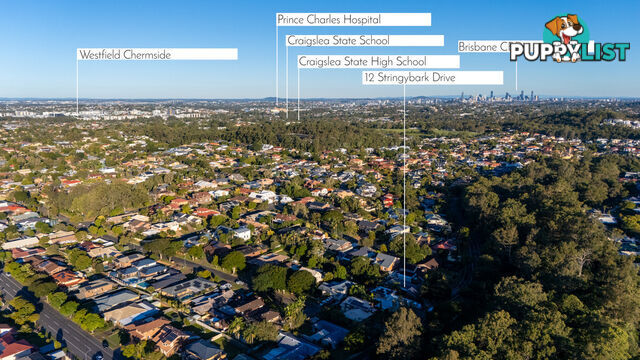 12 Stringybark Drive ASPLEY QLD 4034