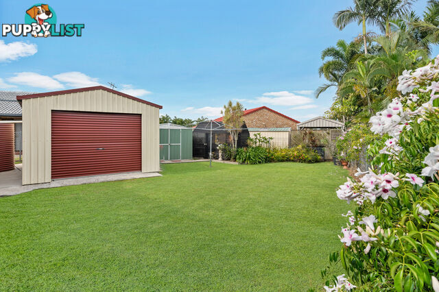 29 Nilkerie Street CARSELDINE QLD 4034