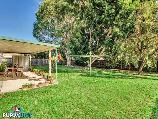 3 Mayfair Place BOONDALL QLD 4034