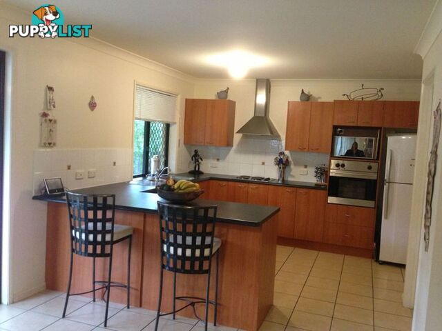 2 Meranti Court ALBANY CREEK QLD 4035