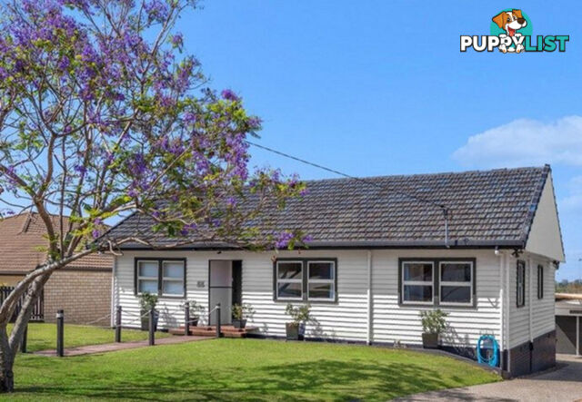 53 Thompson Street ZILLMERE QLD 4034