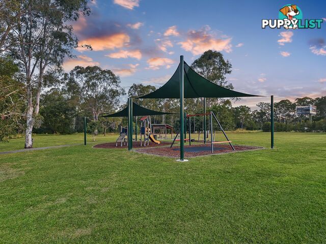 29 Waterlily Circuit CARSELDINE QLD 4034