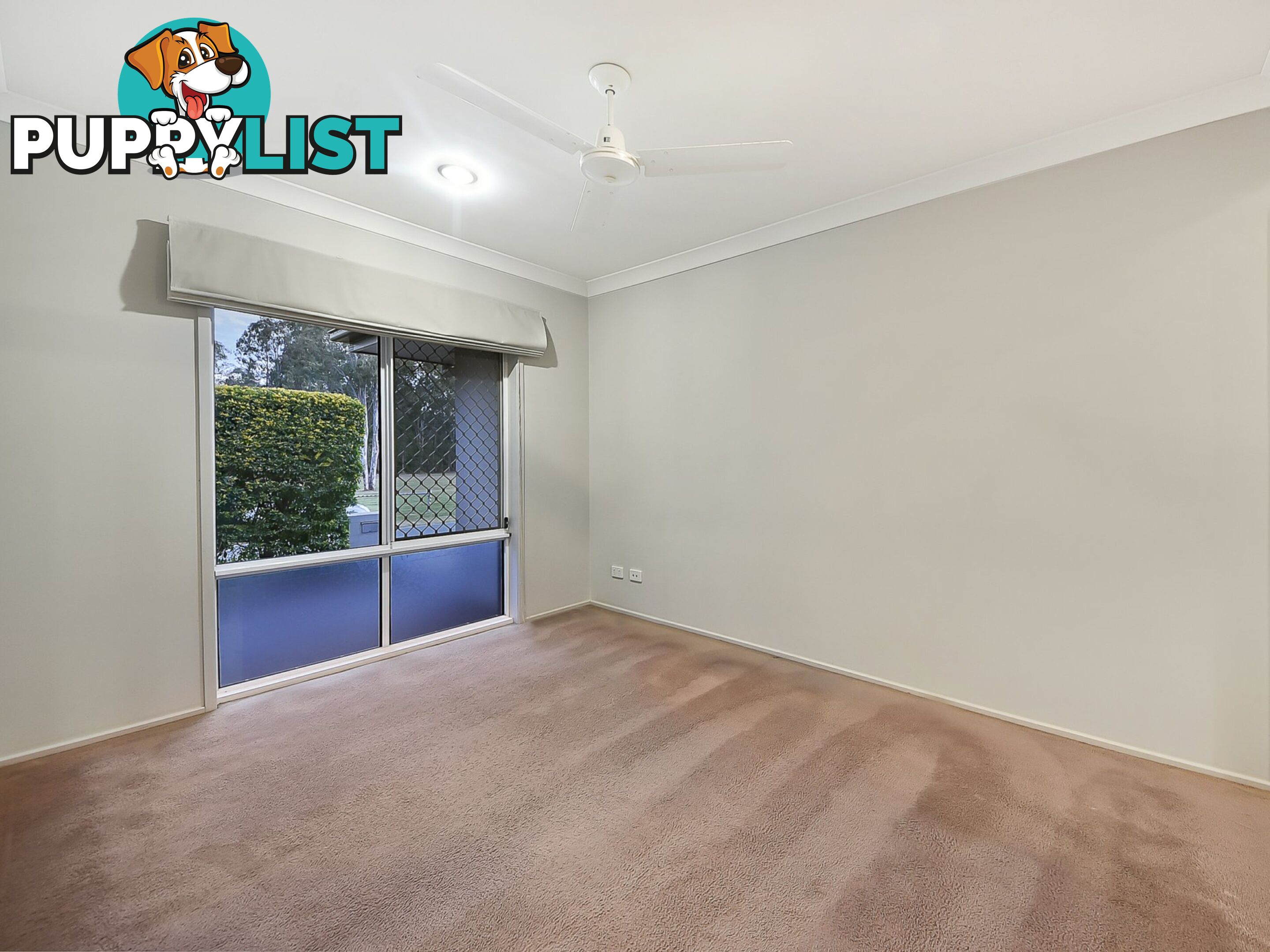 29 Waterlily Circuit CARSELDINE QLD 4034