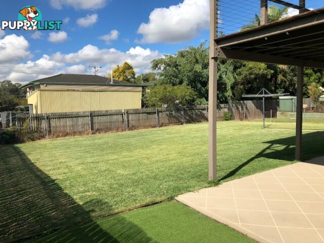 15 Levant Street ALBANY CREEK QLD 4035