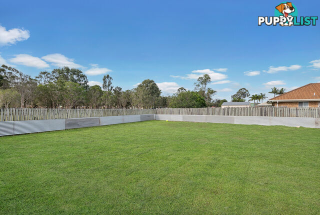 63 Gladdon Street BALD HILLS QLD 4036