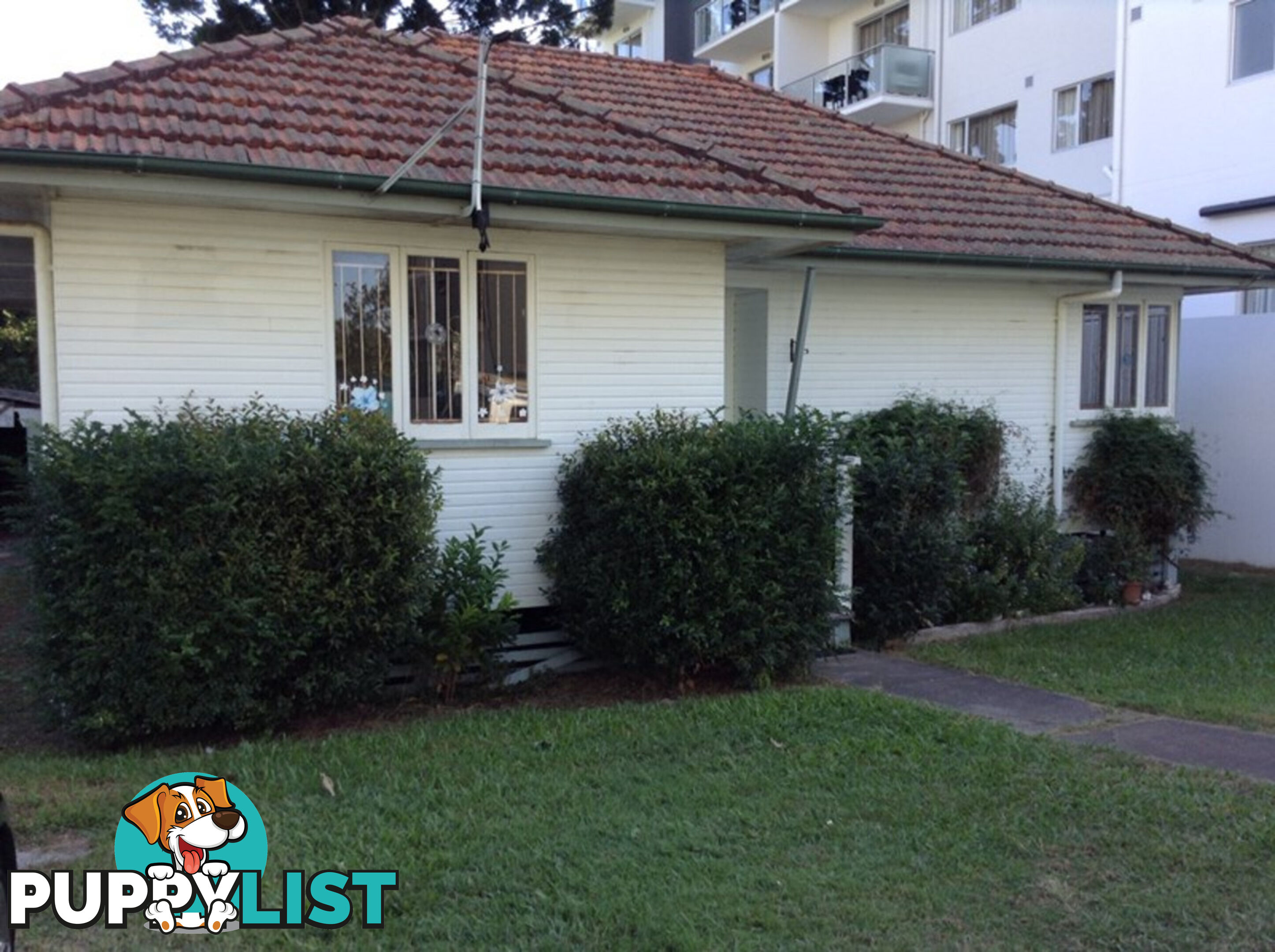 36 Playfield Street CHERMSIDE QLD 4032
