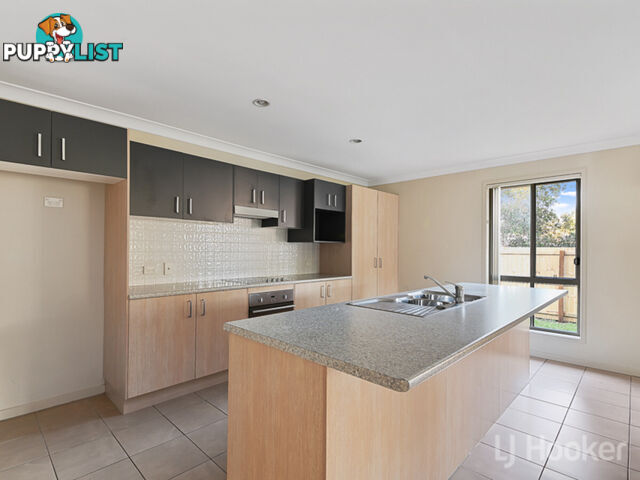 15 Fabian Place BRACKEN RIDGE QLD 4017