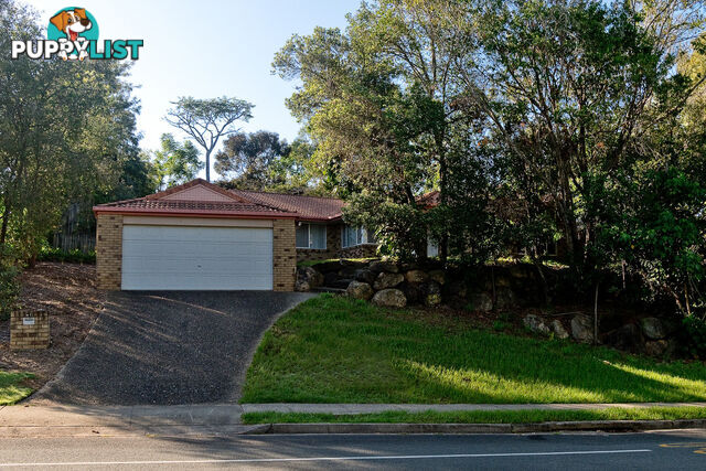 41 Narrabeen Road ALBANY CREEK QLD 4035