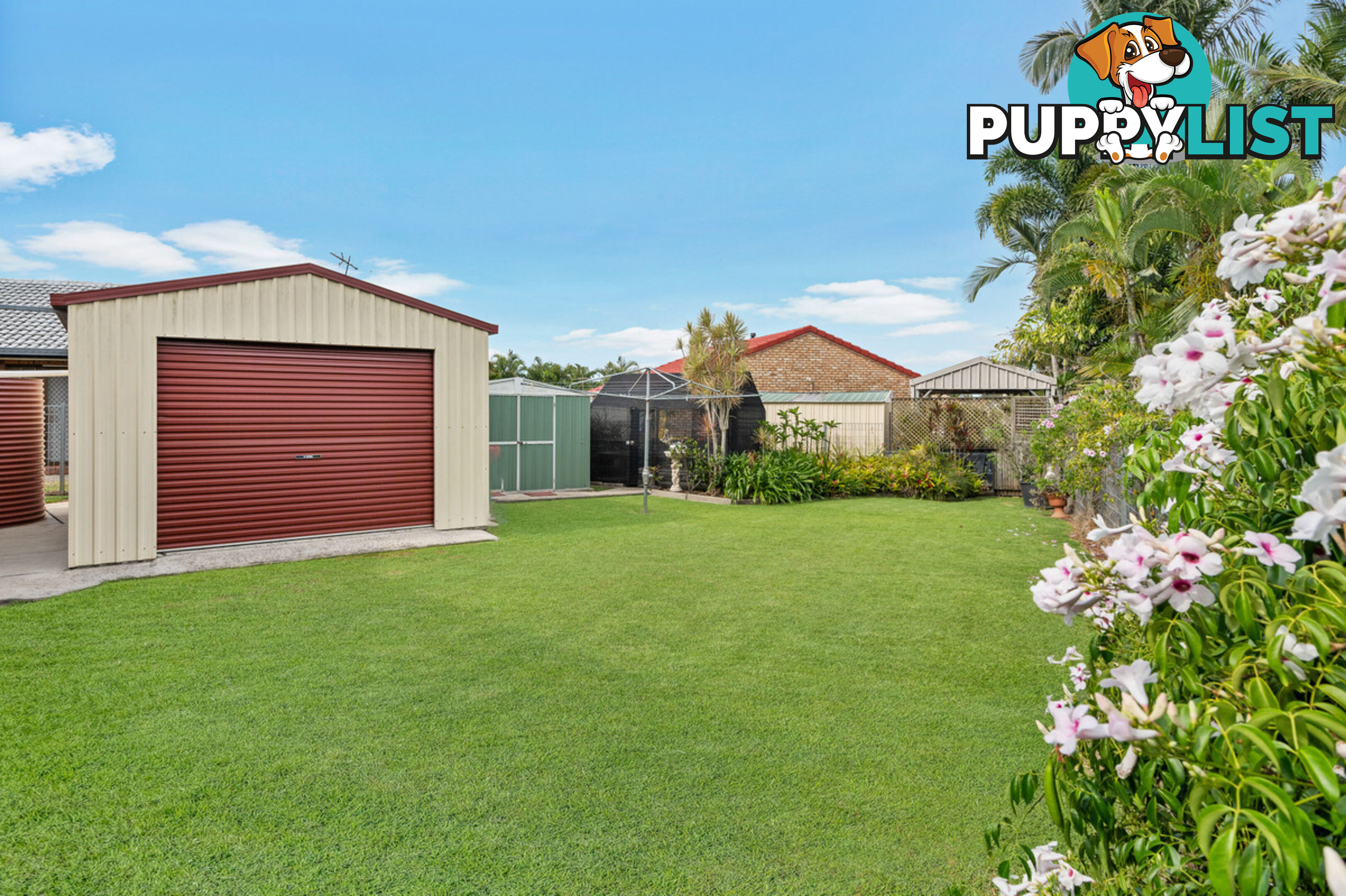 29 Nilkerie Street CARSELDINE QLD 4034