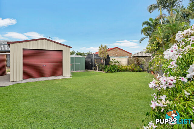 29 Nilkerie Street CARSELDINE QLD 4034