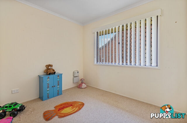 29 Nilkerie Street CARSELDINE QLD 4034