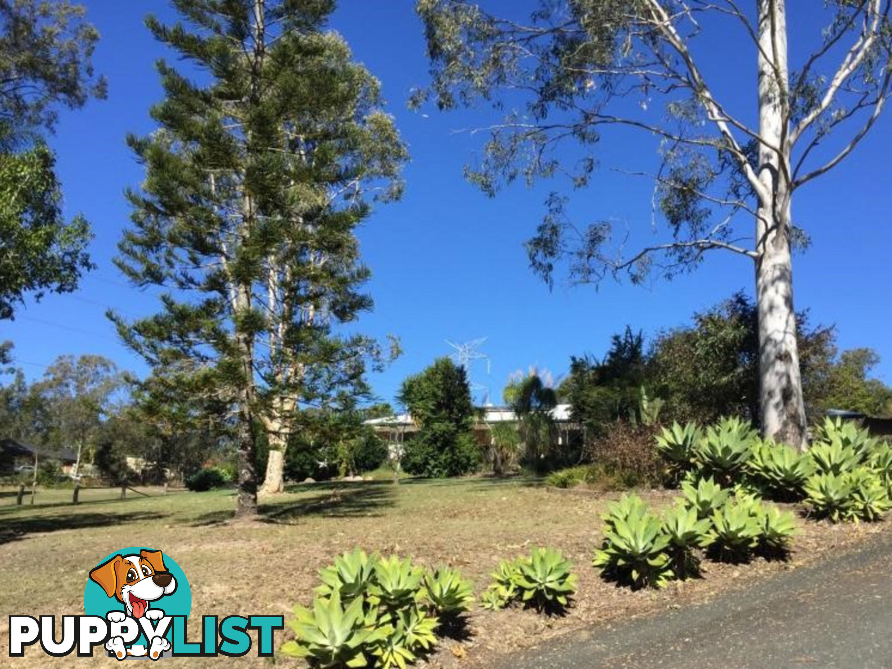 27 Montego Court EATONS HILL QLD 4037